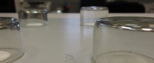 Assessment of Surface Resistance
